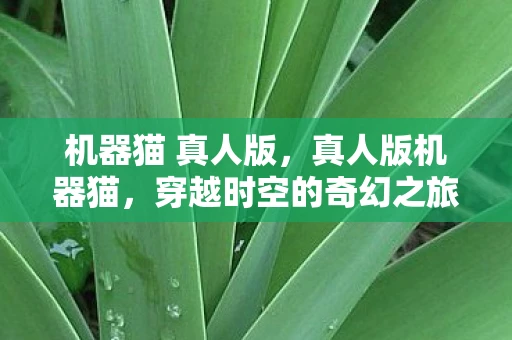 机器猫 真人版，真人版机器猫，穿越时空的奇幻之旅