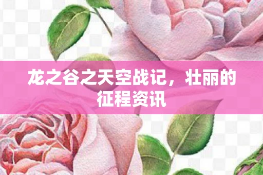 龙之谷之天空战记图片