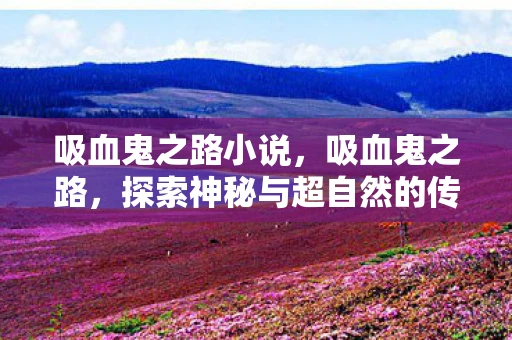 吸血鬼之路小说，吸血鬼之路，探索神秘与超自然的传说