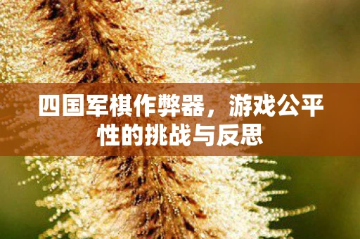 四国军棋作弊器，游戏公平性的挑战与反思