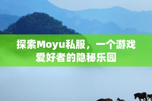 探索Moyu私服，一个游戏爱好者的隐秘乐园