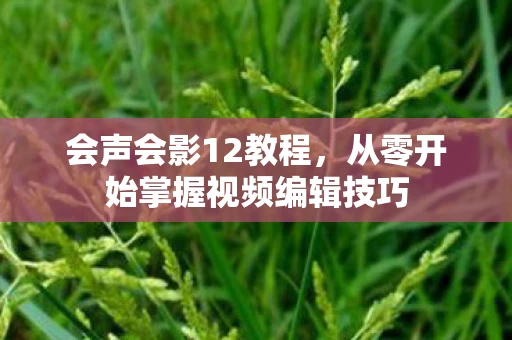 会声会影12教程，从零开始掌握视频编辑技巧