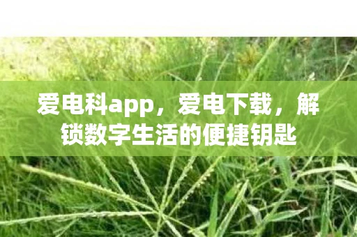 爱电科app,爱电下载,解锁数字生活的便捷钥匙 爱电科app,爱电下载,解锁数字生活的便捷钥匙