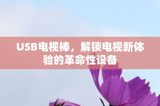 USB电视棒，解锁电视新体验的革命性设备