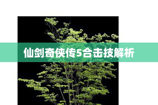 仙剑奇侠传5合击技解析