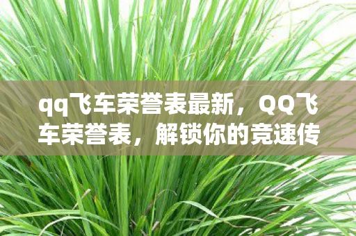 qq飞车荣誉表最新，QQ飞车荣誉表，解锁你的竞速传奇