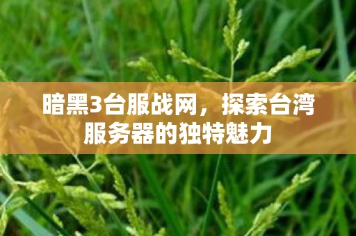 暗黑3台服战网，探索台湾服务器的独特魅力