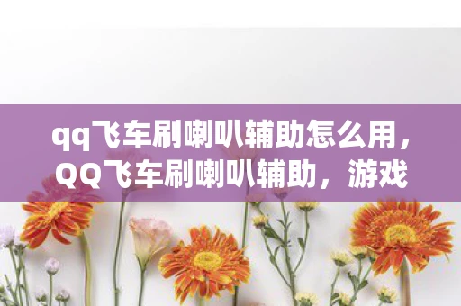 qq飞车刷喇叭辅助怎么用，QQ飞车刷喇叭辅助，游戏乐趣的扭曲与风险
