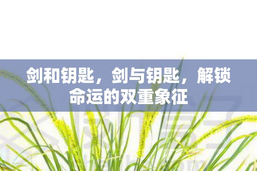 剑和钥匙，剑与钥匙，解锁命运的双重象征