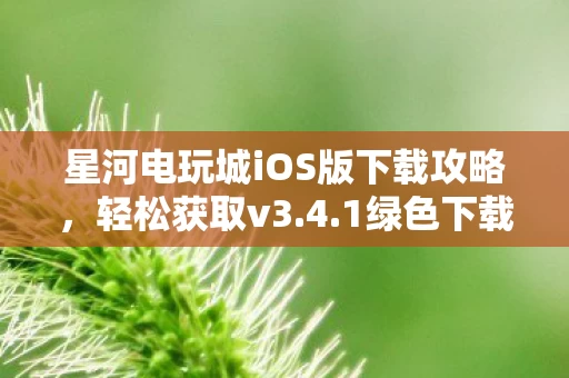 星河电玩城iOS版下载攻略图片