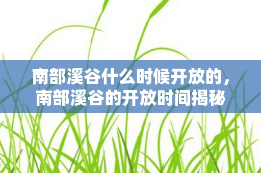 南部溪谷什么时候开放的，南部溪谷的开放时间揭秘