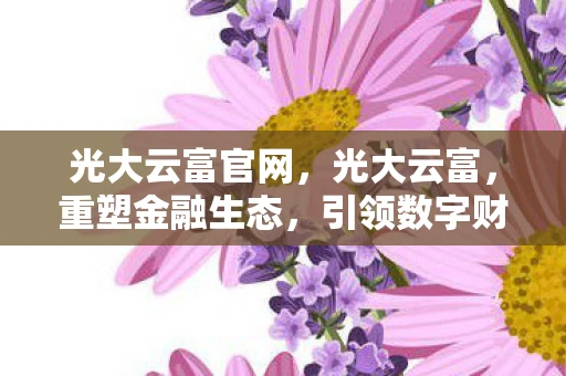 光大云富官网，光大云富，重塑金融生态，引领数字财富管理新篇章