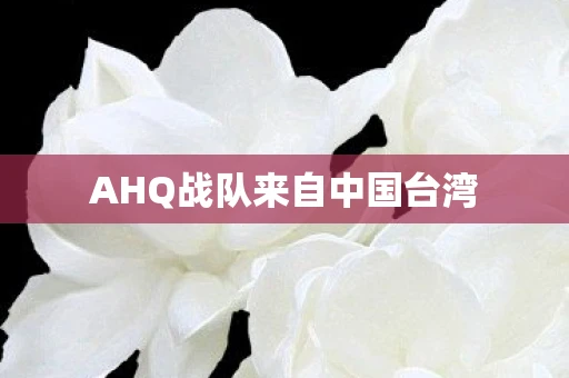 AHQ战队来自中国台湾