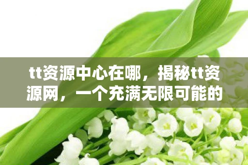 tt资源中心在哪，揭秘tt资源网，一个充满无限可能的数字娱乐平台