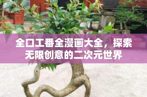 全口工番全漫画大全，探索无限创意的二次元世界