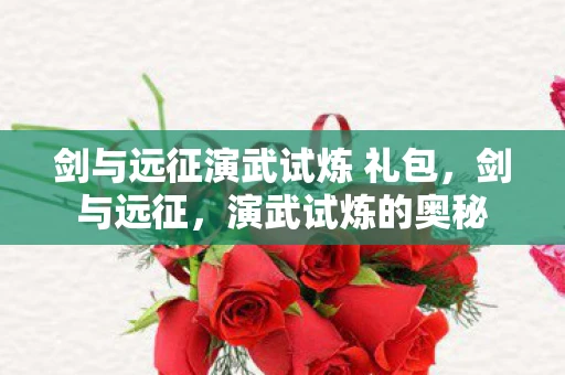 剑与远征演武试炼 礼包，剑与远征，演武试炼的奥秘