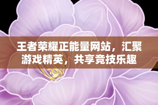 王者荣耀正能量网站图片