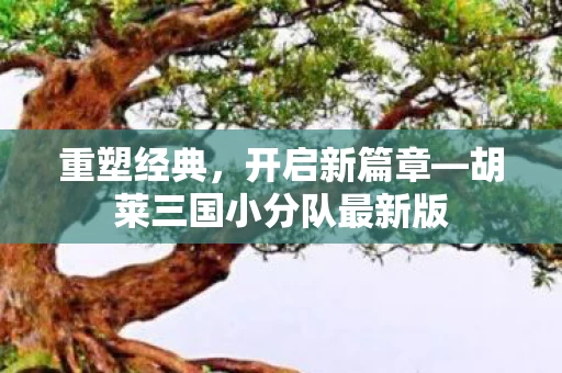 胡莱三国小分队最新版图片