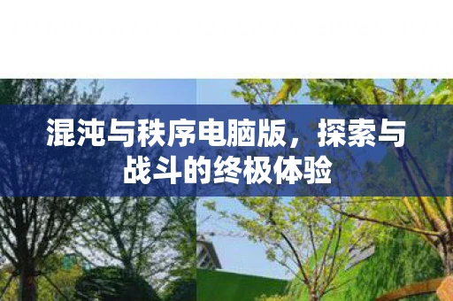 混沌与秩序电脑版，探索与战斗的终极体验