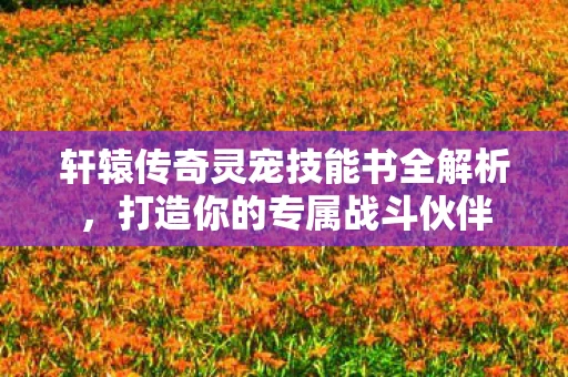轩辕传奇灵宠技能书全解析，打造你的专属战斗伙伴
