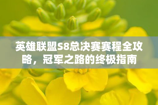 英雄联盟S8总决赛赛程全攻略，冠军之路的终极指南