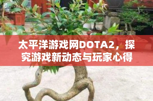 太平洋游戏网DOTA2，探究游戏新动态与玩家心得