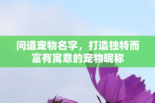 问道宠物名字，打造独特而富有寓意的宠物昵称