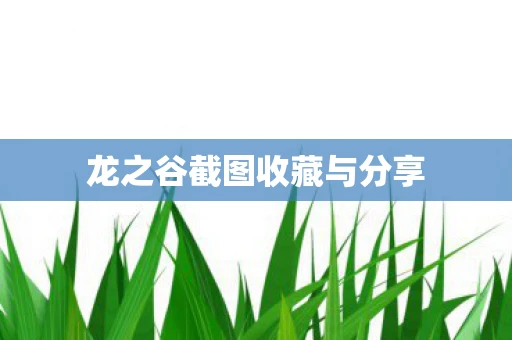 龙之谷截图收藏与分享