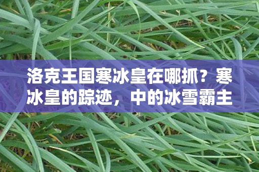 洛克王国寒冰皇在哪抓？寒冰皇的踪迹，中的冰雪霸主