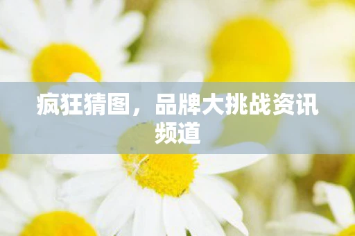 疯狂猜图，品牌大挑战资讯频道