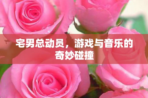 宅男总动员，游戏与音乐的奇妙碰撞