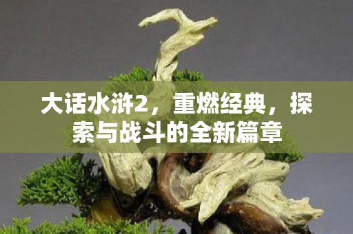 大话水浒2，重燃经典，探索与战斗的全新篇章