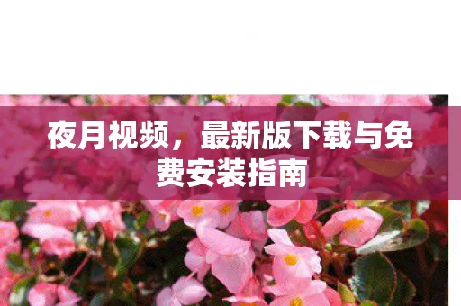 最新版下载与免费安装指南图片