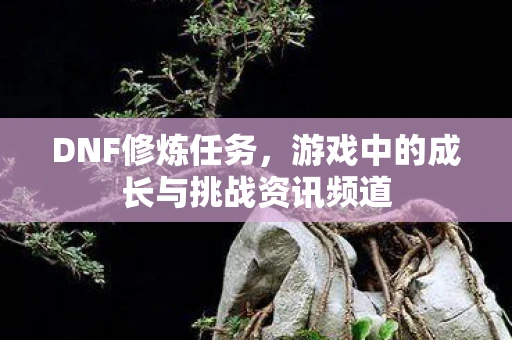 DNF修炼任务，游戏中的成长与挑战资讯频道