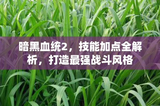 暗黑血统2，技能加点全解析，打造最强战斗风格