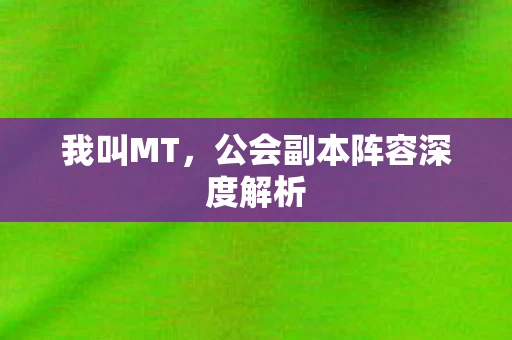我叫MT，公会副本阵容深度解析