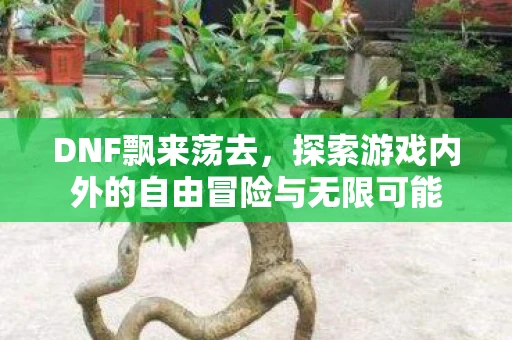 DNF飘来荡去，探索游戏内外的自由冒险与无限可能
