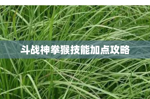 斗战神拳猴技能加点攻略