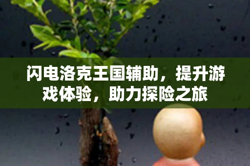 闪电洛克王国辅助，提升游戏体验，助力探险之旅