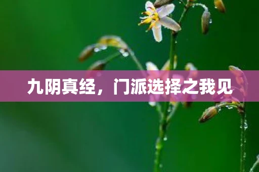 九阴真经，门派选择之我见