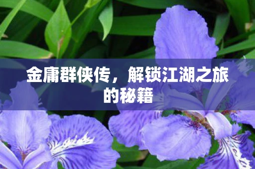 金庸群侠传，解锁江湖之旅的秘籍