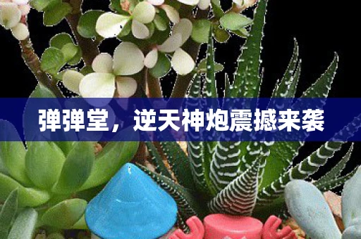 弹弹堂，逆天神炮震撼来袭