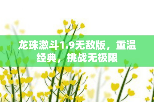 龙珠激斗1.9无敌版，重温经典，挑战无极限