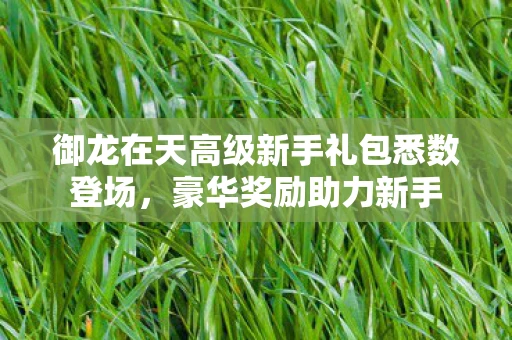 御龙在天高级新手礼包悉数登场，豪华奖励助力新手