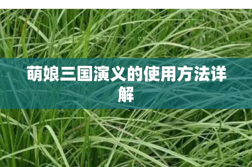 萌娘三国演义的使用方法详解图片