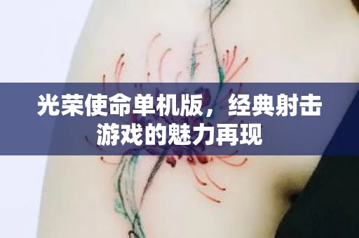 光荣使命单机版，经典射击游戏的魅力再现