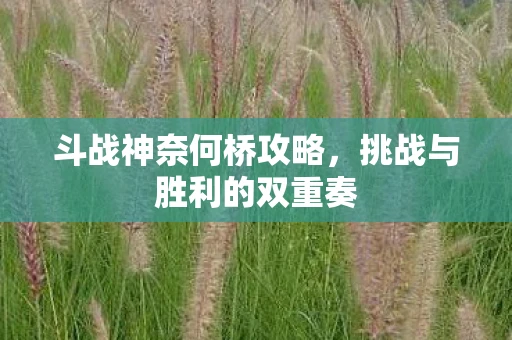 斗战神奈何桥攻略，挑战与胜利的双重奏