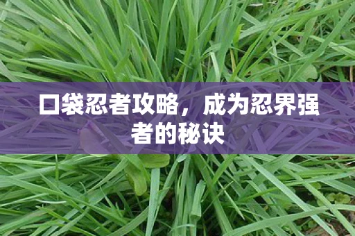 口袋忍者攻略，成为忍界强者的秘诀