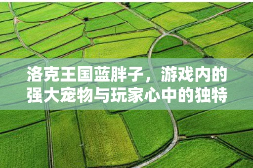 洛克王国蓝胖子，游戏内的强大宠物与玩家心中的独特存在