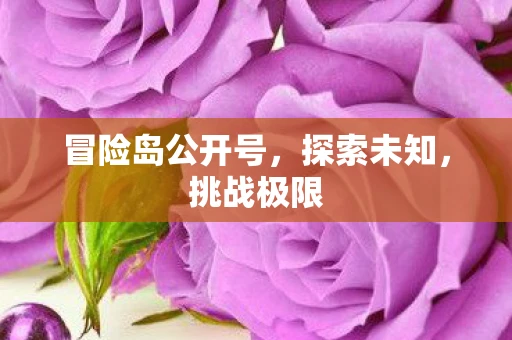 冒险岛公开号，探索未知，挑战极限